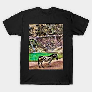 A Zebra Enchanted T-Shirt